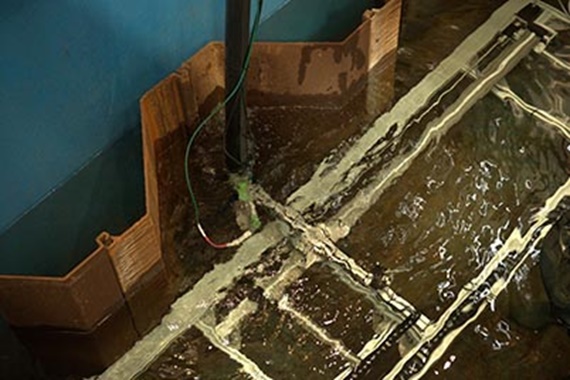 Module linéaire drylin ZLW dans une machine de découpe laser