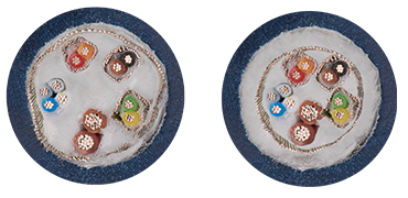 Mouvement de torsion CF