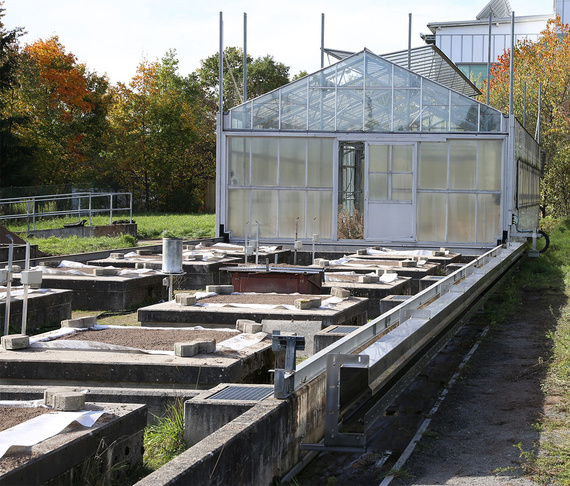 Lysimeteranlage mit 28 Versuchsbecken