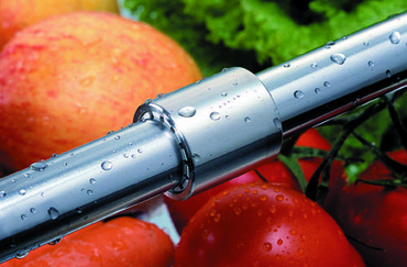 Conditionnement des fruits et légumes