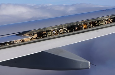 Ali inclinate con vista dell'interno