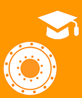 Esperto per strumenti online PRT