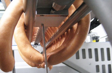 Lavorazione di pesce, carne e insaccati